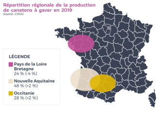 Répartition régionale des canetons à gaver